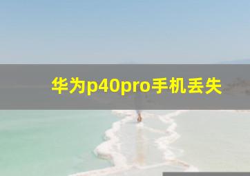 华为p40pro手机丢失