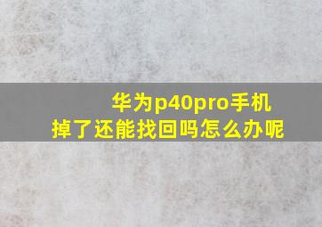 华为p40pro手机掉了还能找回吗怎么办呢