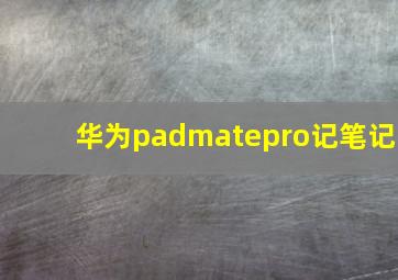 华为padmatepro记笔记