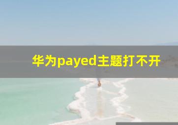 华为payed主题打不开