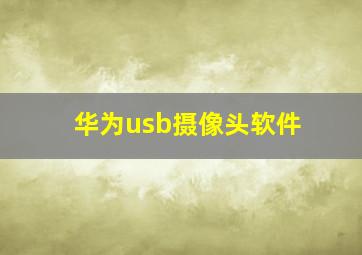 华为usb摄像头软件