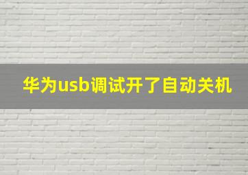 华为usb调试开了自动关机