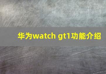 华为watch gt1功能介绍