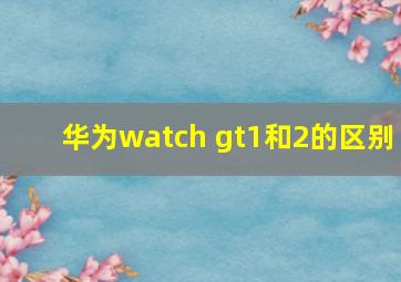 华为watch gt1和2的区别