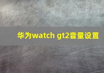 华为watch gt2音量设置