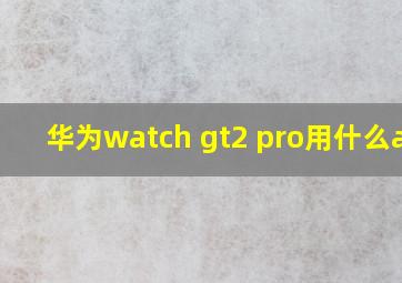 华为watch gt2 pro用什么app