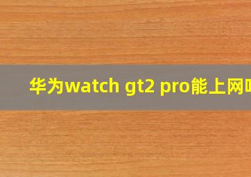 华为watch gt2 pro能上网吗