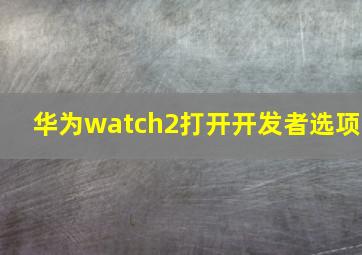 华为watch2打开开发者选项