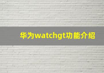 华为watchgt功能介绍