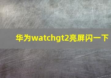 华为watchgt2亮屏闪一下