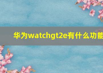 华为watchgt2e有什么功能