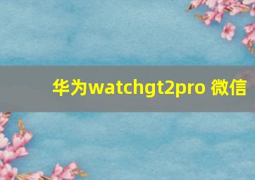 华为watchgt2pro 微信