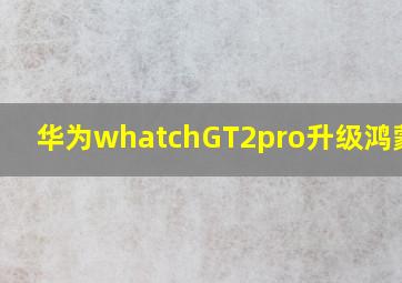 华为whatchGT2pro升级鸿蒙4.0