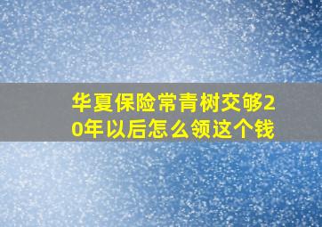 华夏保险常青树交够20年以后怎么领这个钱