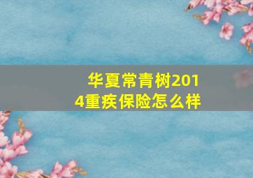 华夏常青树2014重疾保险怎么样