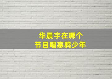 华晨宇在哪个节目唱寒鸦少年