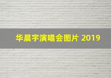 华晨宇演唱会图片 2019