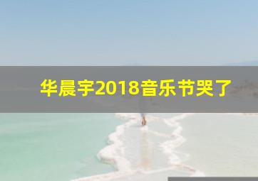 华晨宇2018音乐节哭了