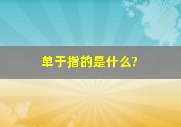 单于指的是什么?