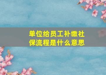 单位给员工补缴社保流程是什么意思