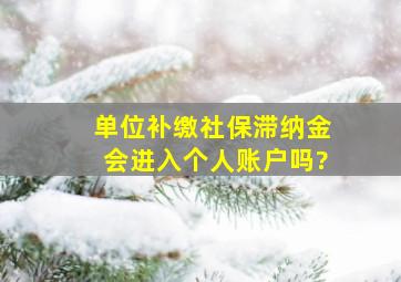 单位补缴社保滞纳金会进入个人账户吗?