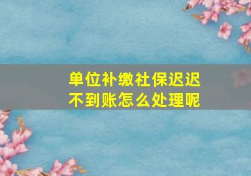 单位补缴社保迟迟不到账怎么处理呢