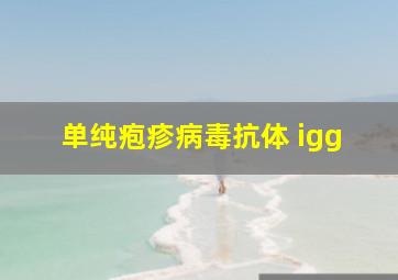 单纯疱疹病毒抗体 igg