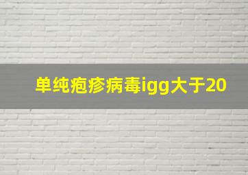 单纯疱疹病毒igg大于20