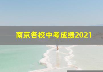 南京各校中考成绩2021