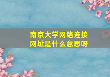 南京大学网络连接网址是什么意思呀