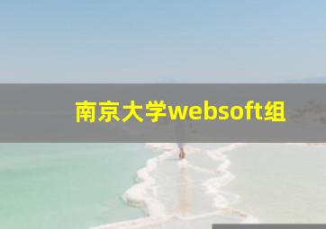 南京大学websoft组