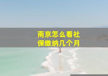 南京怎么看社保缴纳几个月