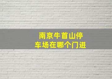 南京牛首山停车场在哪个门进