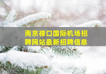 南京禄口国际机场招聘网站最新招聘信息