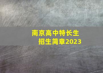 南京高中特长生招生简章2023