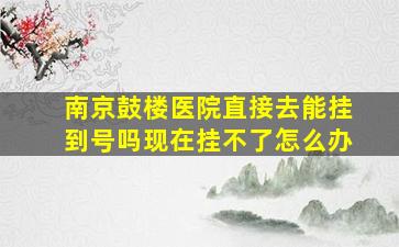 南京鼓楼医院直接去能挂到号吗现在挂不了怎么办