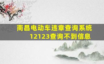 南昌电动车违章查询系统12123查询不到信息