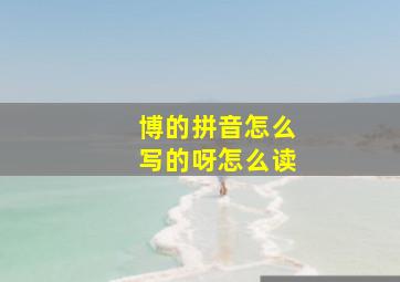 博的拼音怎么写的呀怎么读