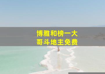 博雅和榜一大哥斗地主免费