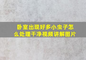 卧室出现好多小虫子怎么处理干净视频讲解图片