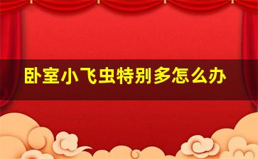 卧室小飞虫特别多怎么办