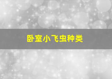 卧室小飞虫种类