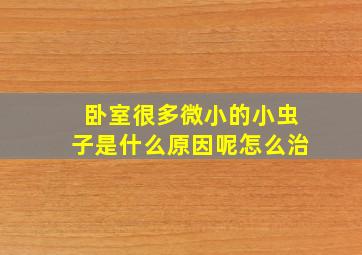 卧室很多微小的小虫子是什么原因呢怎么治