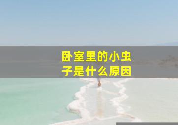 卧室里的小虫子是什么原因