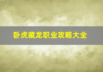 卧虎藏龙职业攻略大全