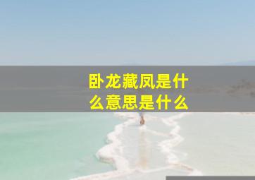 卧龙藏凤是什么意思是什么