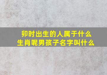 卯时出生的人属于什么生肖呢男孩子名字叫什么