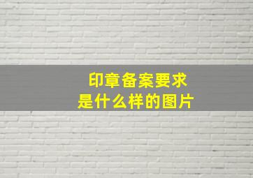 印章备案要求是什么样的图片