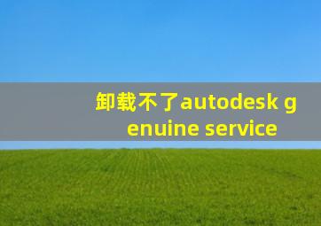 卸载不了autodesk genuine service