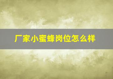 厂家小蜜蜂岗位怎么样